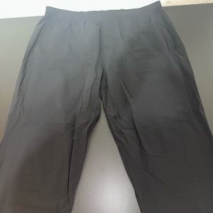 Lululemon Surge Jogger (Size XXL)